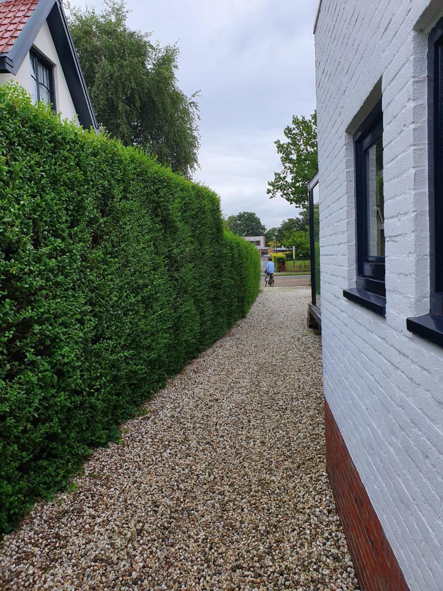 Zelfstandig Gastenverblijf In Het Groene Haren Nabij Groningen Ngoại thất bức ảnh